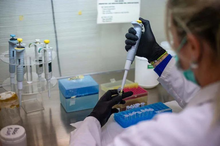 Lo que saben y no saben científicos argentinos sobre el hantavirus Andes